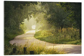 Acrylglasbild Morgennebel im Wald
