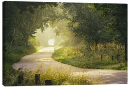 Canvas print Morning mist in the forest