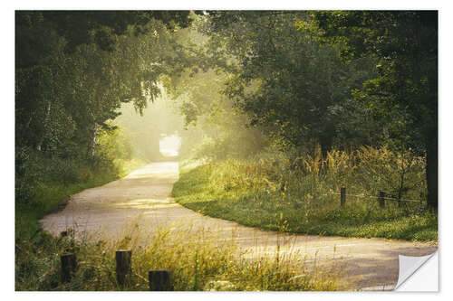 Wandsticker Morgennebel im Wald
