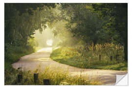 Wandsticker Morgennebel im Wald