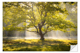 Wandsticker Baum im Sonnaufgang