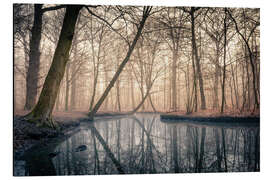 Stampa su alluminio Sunrise in the forest