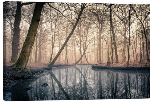 Canvas print Sunrise in the forest