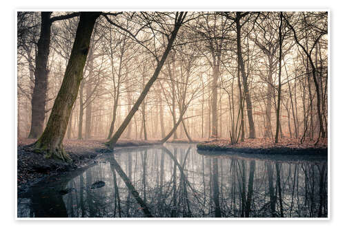 Póster Sunrise in the forest