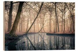 Tableau en bois Sunrise in the forest