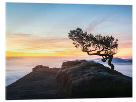 Quadro em acrílico Sunrise in Saxon Switzerland, Germany - Nils Steiner