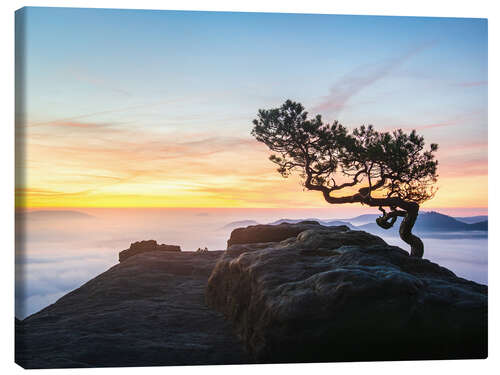 Canvas print Sunrise in Saxon Switzerland, Germany