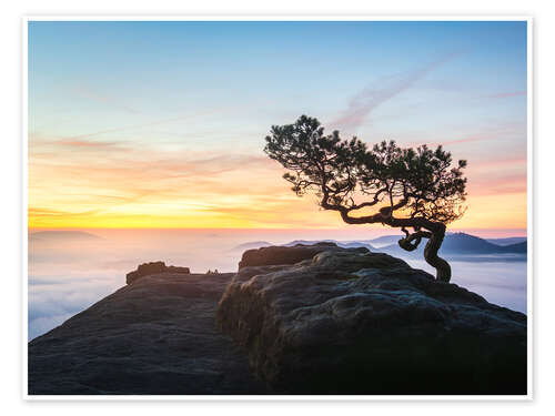 Poster Sonnenaufgang in der Sächsischen Schweiz
