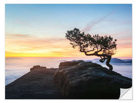 Wall sticker Sunrise in Saxon Switzerland, Germany
