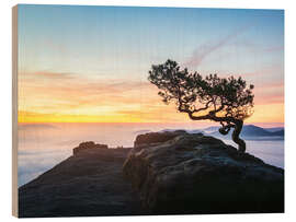 Holzbild Sonnenaufgang in der Sächsischen Schweiz - Nils Steiner