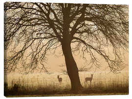Quadro em tela Morning mood in spring - Nils Steiner