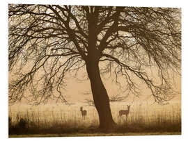 Hartschaumbild Morgenstimmung im Frühling