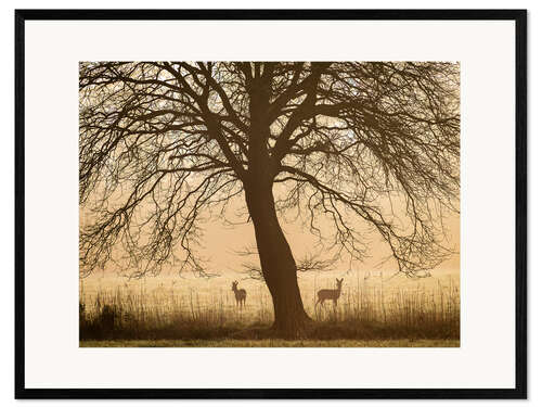 Framed art print Morning mood in spring