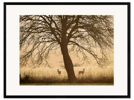 Framed art print Morning mood in spring - Nils Steiner