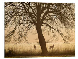 Gallery Print Morgenstimmung im Frühling