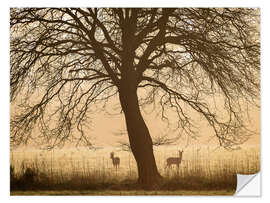Wandsticker Morgenstimmung im Frühling