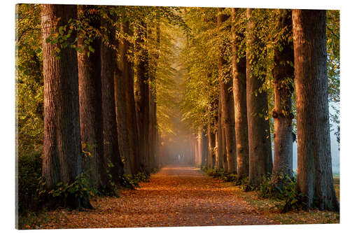 Acrylic print Morning Mood in Autumn