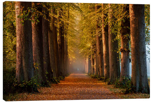 Leinwandbild Morgenstimmung im Herbst
