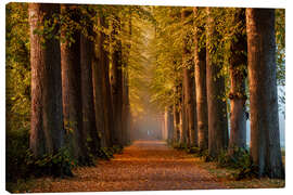 Quadro em tela Morning Mood in Autumn
