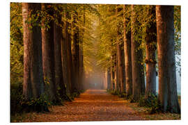 Hartschaumbild Morgenstimmung im Herbst