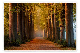 Wall print Morning Mood in Autumn - Nils Steiner