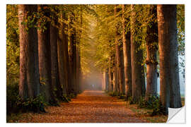 Wandsticker Morgenstimmung im Herbst