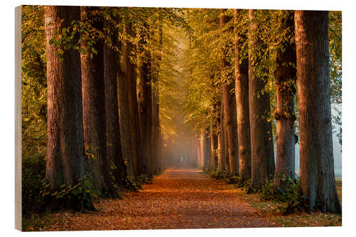 Wood print Morning Mood in Autumn