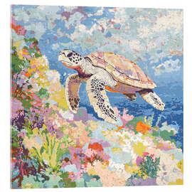 Acrylic print Colourful Turtle