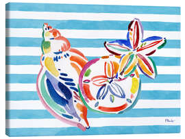 Canvas print Colourful shells on beach towel - Paul Brent