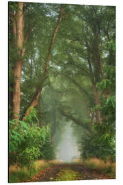 Aluminium print Lush forest road in September - Martin Podt