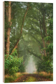 Wood print Lush forest road in September - Martin Podt