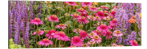 Aluminiumsbilde Summer Blooms