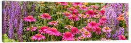Lienzo Summer Blooms