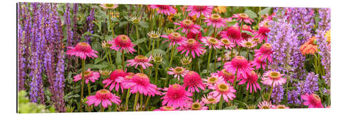 Gallery print Summer Blooms