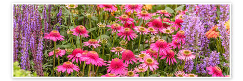 Poster Sommerblüten