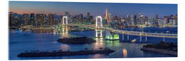 Akryylilasitaulu Rainbow Bridge Panorama, Tokyo, Japan - Jan Christopher Becke