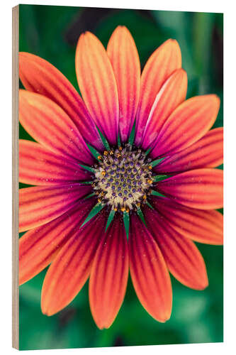 Tableau en bois Flower Power