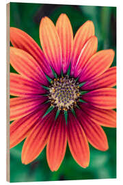 Tableau en bois Flower Power - Andreas Kossmann