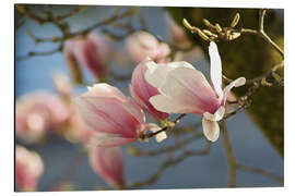 Alubild Frühlingsträume