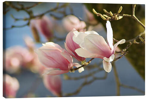 Canvastavla Spring Dreams