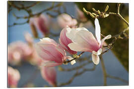 Gallery Print Frühlingsträume