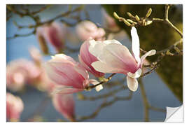 Sticker mural Spring Dreams - Dirk Driesen