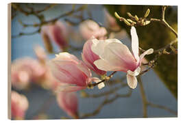 Tableau en bois Spring Dreams - Dirk Driesen