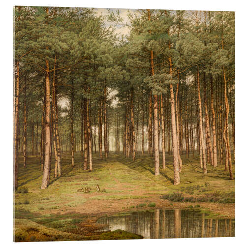 Acrylic print Fir Wood at Putte - Jean Pierre François Lamoriniere