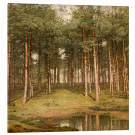Acrylic print Fir Wood at Putte - Jean Pierre François Lamoriniere