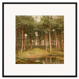 Framed art print Fir Wood at Putte - Jean Pierre François Lamoriniere