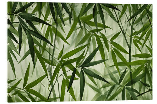 Quadro em acrílico Green Bamboo Grove