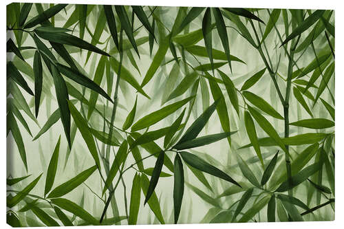 Canvas print Green Bamboo Grove