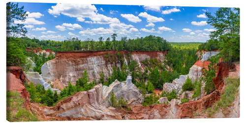 Tableau sur toile Providence Canyon State Park, Georgia, USA