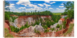 Tableau en bois Providence Canyon State Park, Georgia, USA - HADYPHOTO